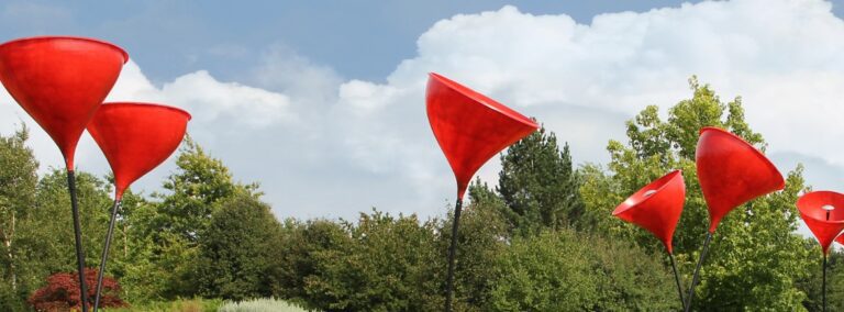 Banner Mohnblueten