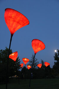 Translucent GRP poppy blossoms at night